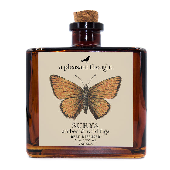 surya amber and wild figs Fragranced diffuser oil housed in an amber glass, apothecary bottle with rattan reed a pleasant thought