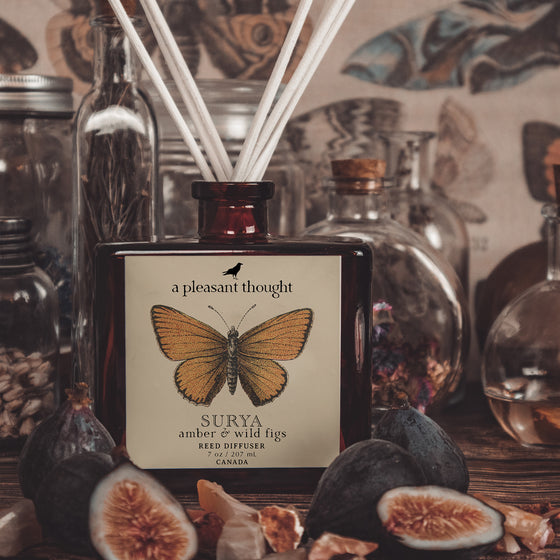 surya amber and wild figs Fragranced diffuser oil housed in an amber glass, apothecary bottle with rattan reed  notes