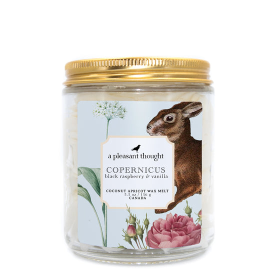copernicus black raspberry and vanilla Scoopable coconut apricot wax melt whipped into a clear glass jar with a gold lid and spoon a pleasant thought