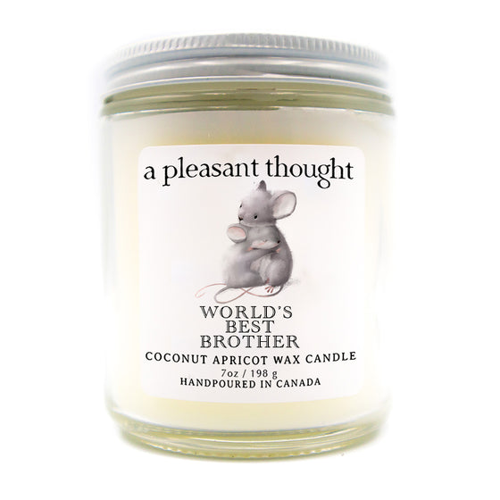 custom mice candle a pleasant thought worlds best brother
