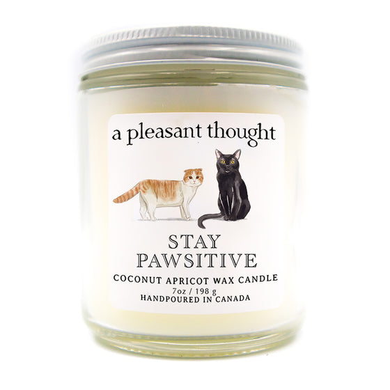 custom cat candle stay pawsitive