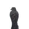 Perched Raven Candle | Pillar