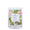audrey red apple and rose blossom coconut apricot wax candle in a classic, clear glass votive with a wooden wick a pleasant thought
