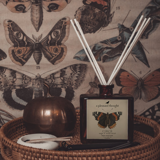 circe sage and wild mint Fragranced diffuser oil housed in an amber glass, apothecary bottle with rattan reeds display